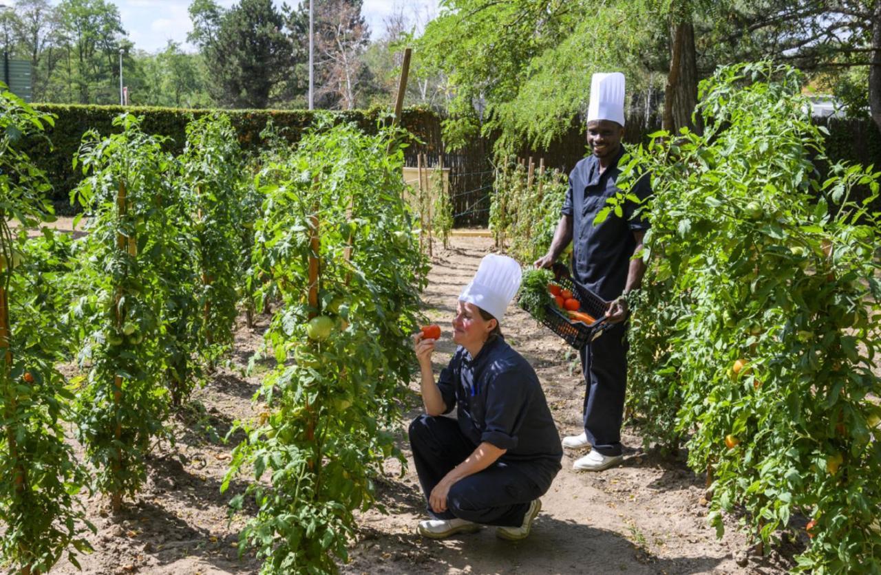 מלון Demeures De Campagne Chemins De Sologne A אורליאן מראה חיצוני תמונה